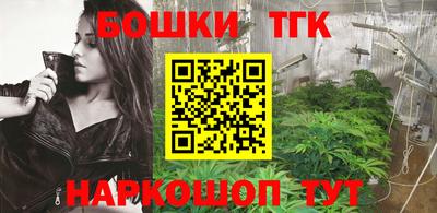 твердый Камышлов