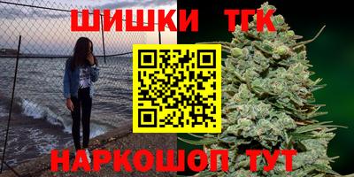 твердый Камышлов