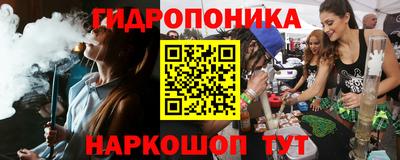 твердый Камышлов